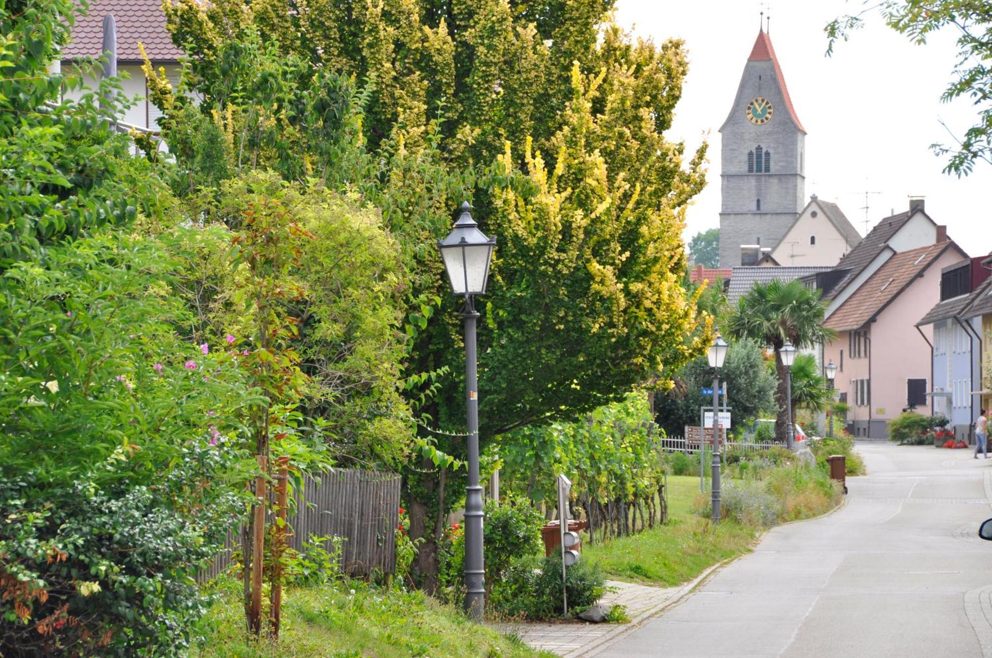 Auszeit Apartment Hagnau Luaran gambar